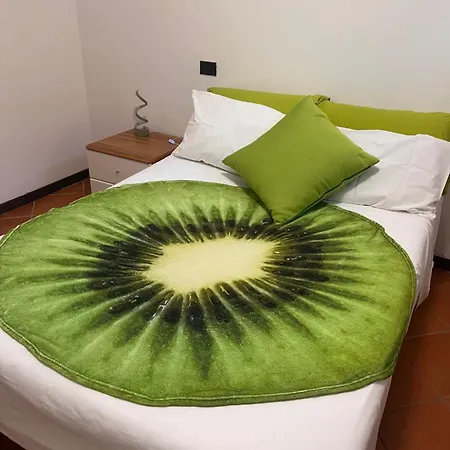Kiwi Holiday home